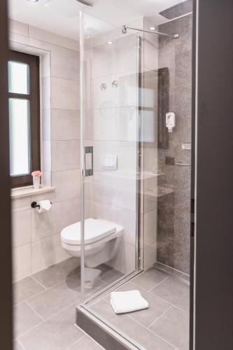Hotel Demas Garni - image 6