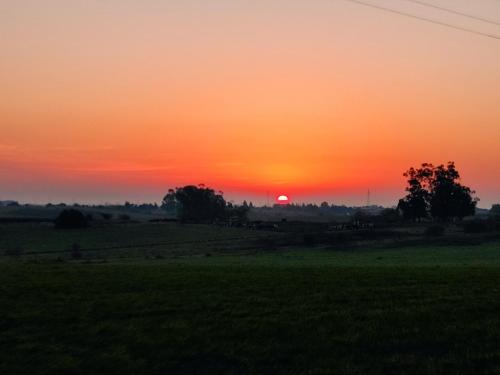 Paulina y Emma - confortable apartamento