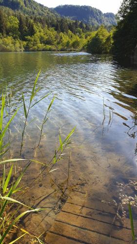 Ferienwohnungen Gut Seebacher