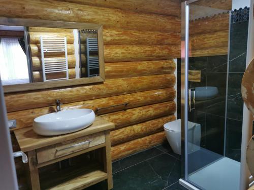 Cabana 9, Borşa (foto 8)