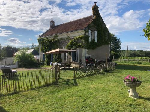 Au Coeur des Vignes - Location saisonnière - Pouillé