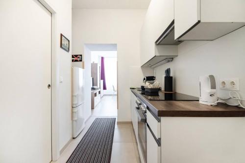 Vienna City Apartment Raffaelgasse, Vienna (photo 4)