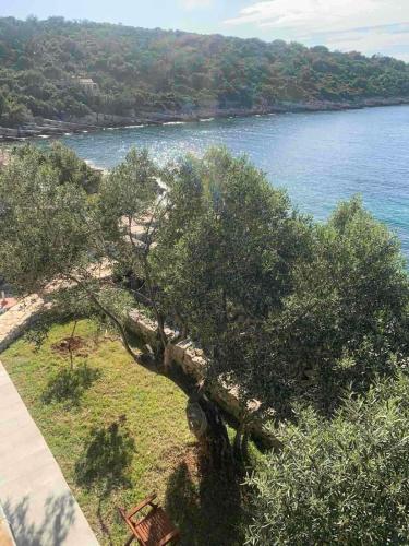  Beach Apartment Ivana in Drvenik Mali