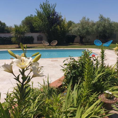 Chambre privée dans une maison avec piscine (Chambre privee dans une maison avec piscine) in Tournefeuille