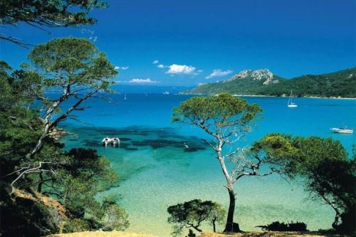 Trés beau studio 35 M2 Entre Mer et Forêt grand jardin et douche tropicale (Tres beau studio 35 M2 Entre Mer et Foret grand jardin et douche tropicale) in La Seyne-sur-Mer