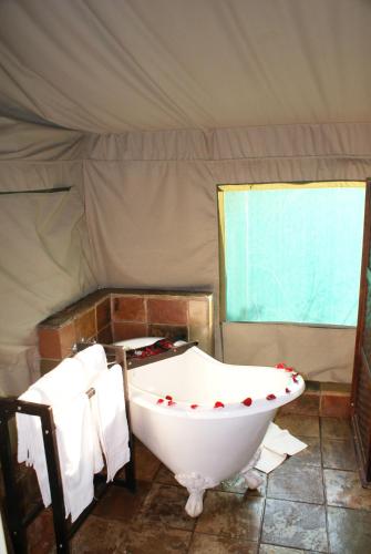 Inkwenkwezi Private Game Reserve