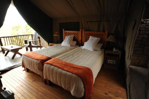 Inkwenkwezi Private Game Reserve in Amatola Coastal