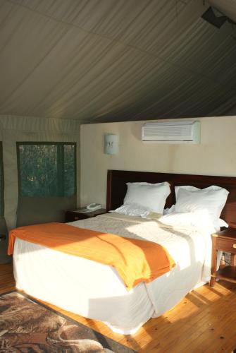 Inkwenkwezi Private Game Reserve