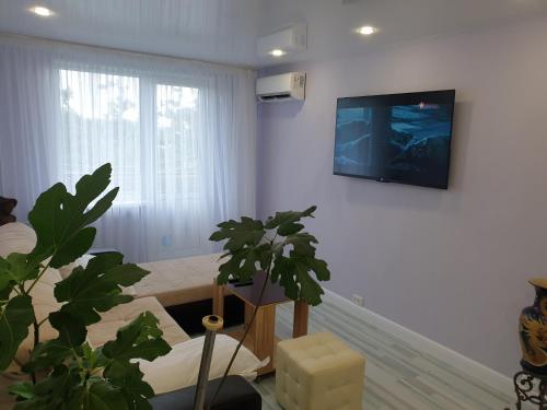 Appartments with sea view on Russian island - image 4