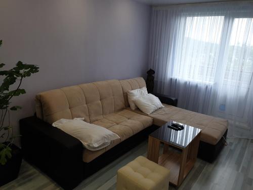 Appartments with sea view on Russian island - image 2
