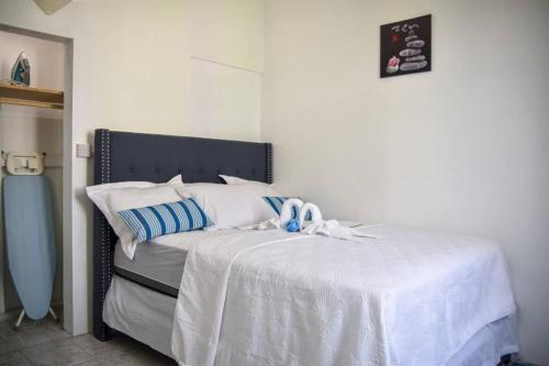Entire Green Castle Apartment#2 in City of Roseau