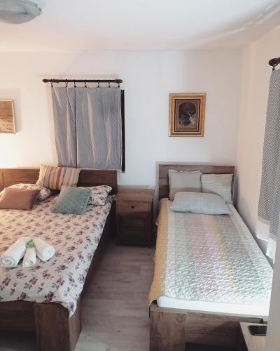 Amanet House Zasavica - image 13