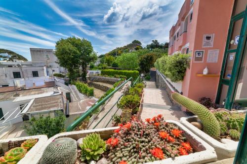 Kert, Albergo Le Querce in Ponza Island