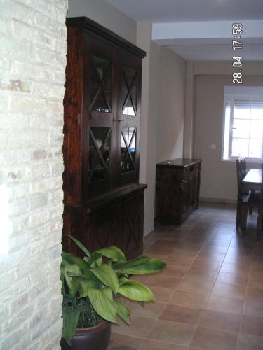 Room in Guest room - Quiet Single Room in Valencia, with Large Terrace for pets