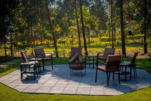 Shamba lodge cabins