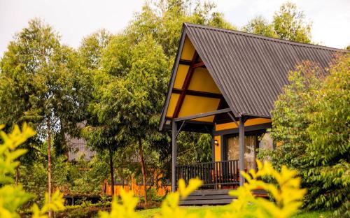 Shamba lodge cabins