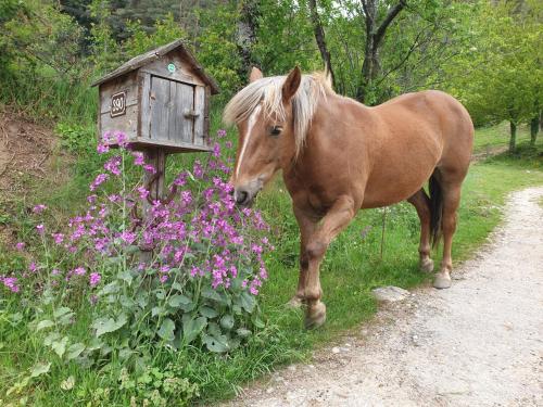 Le Grand Bayle - Oasis Naturelle