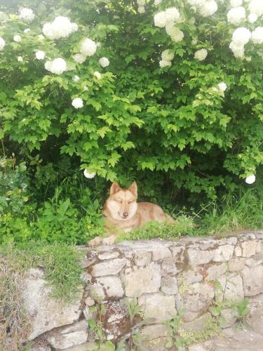 Le Grand Bayle - Oasis Naturelle