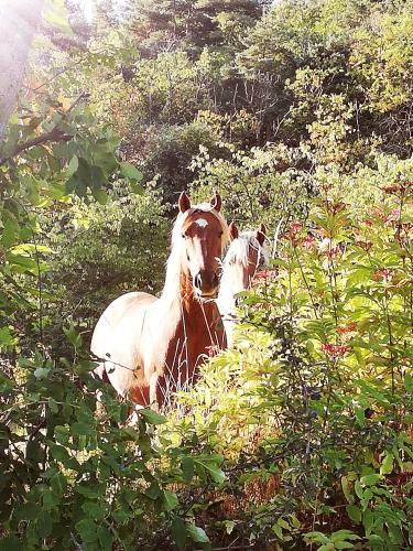 Le Grand Bayle - Oasis Naturelle