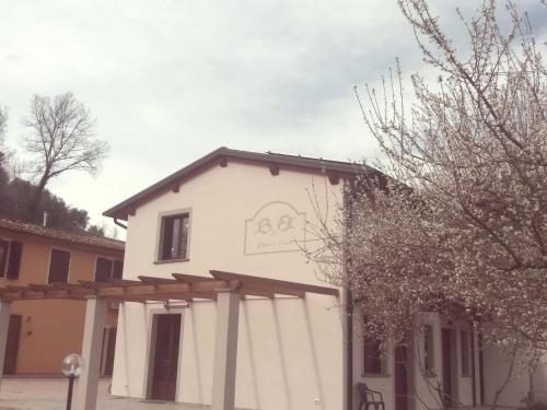 B&B Pane e Rose - Accommodation - San Miniato