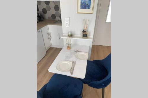 APPARTEMENT DE CHARME EN CENTRE VILLE, Tuluza (zdjęcie 9)