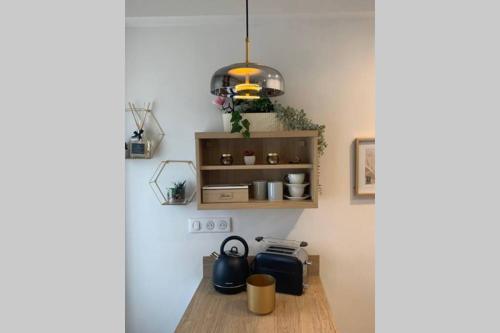 Joli appartement haut standing en hyper centre, Toulouse (photo 5)
