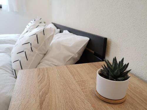 Moderne Ferienwohnungen mit Designbad