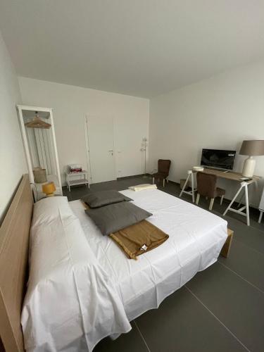 Milu's Home, Palermo (fotografie 4)
