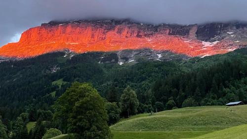 Romantisches Plätzchen in der Natur - image 3