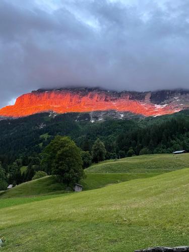 Romantisches Plätzchen in der Natur - main image