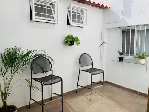 Aqua Marine Eco-PetFriendly