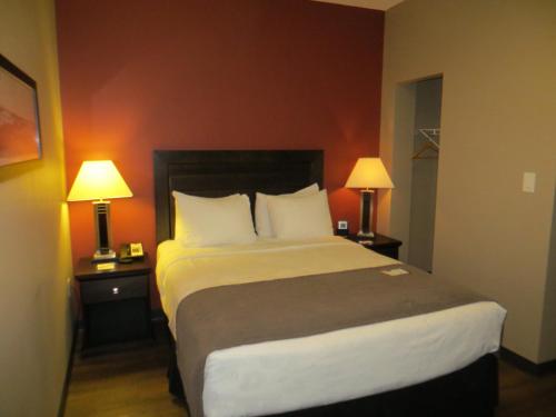 1 queen bed