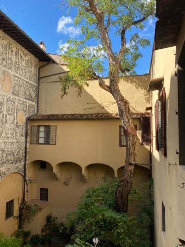 Two-Bedroom Apartment with Terrace - 7 Via dei Pepi  image 7