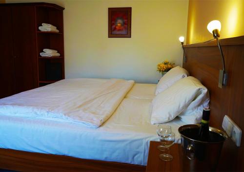 Hotel Baltaci U Náhonu - image 5