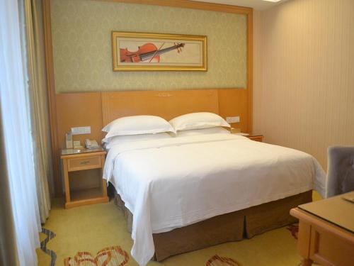 Vienna 3 Best Hotel Liuzhou Yuejiang Road