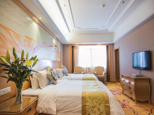 Vienna Hotel Hunan Shaodong Jinlong Ave