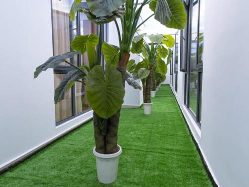 Vienna Hotel Shanghai Yangpu Wujiaochang in Yangpu Wujiaochang