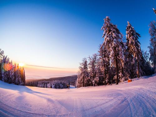 HP APARTMÁNY SKIAREÁL- Buková Hora v Orlických horách