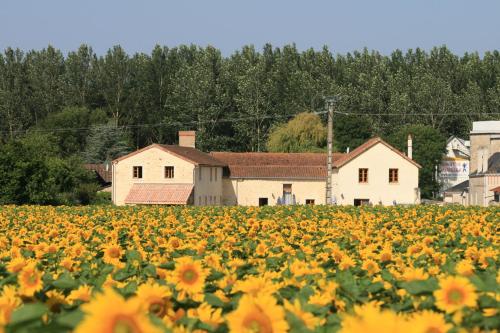 Loire Escapes - Maison D'Hibou