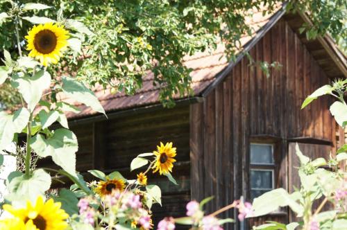 Ferienwohnung im Obstgarten