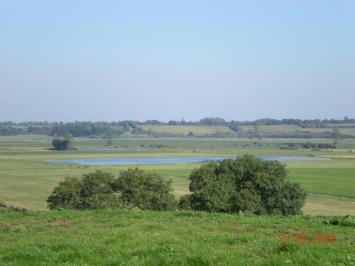Gîte Les vignes - image 11