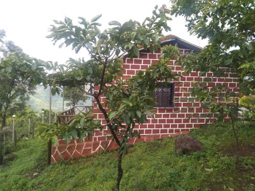 Exotic Valley Mahabaleshwar