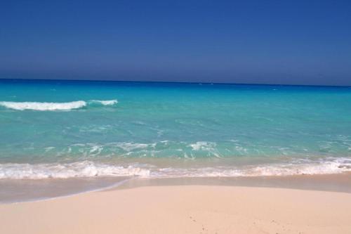 شاليه بحديقة يري البحر , بانوراما بيتش ريزورت , الساحل الشمالي The North Coast , Sea View Garden Chalet, El Alamein (fotografie 2)