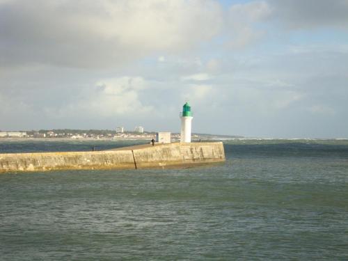 Le Pin des Barges