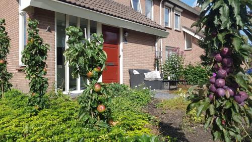 Bejárat, Logeren bij Grea in Zwartsluis