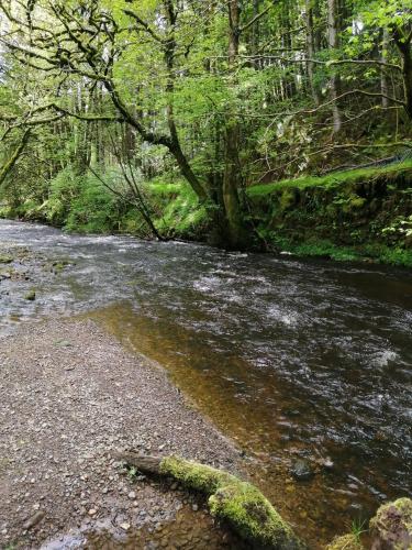 Lake District and Eden Valley Thornhill Lodge