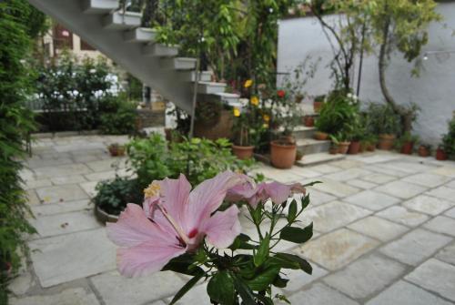 Guesthouse Machi - image 12