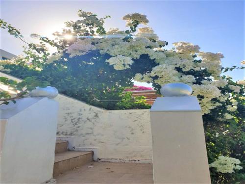 Sleeps5 - Pool - Bysea - Garden - Parking - Petok - Tap to explore photos