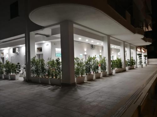 RICCIARDELLI HOLIDAY HOMES in paese di fronte al Mare in Vieste