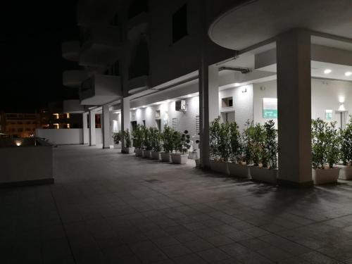 RICCIARDELLI HOLIDAY HOMES in paese di fronte al Mare in Vieste